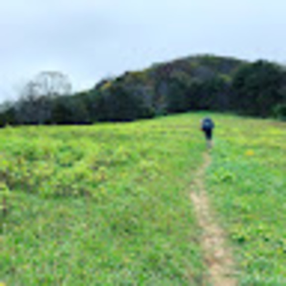 Meet your Posher, Sean - Picture 1 of 1